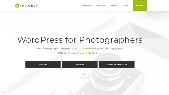 Imagely - Empresa de productos de WordPress para fotógrafos