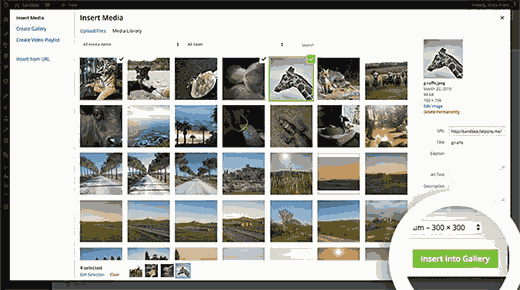 Creación de galerías de imágenes en WordPress