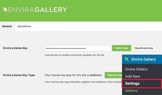 Introduce tu clave de licencia de Envira Gallery