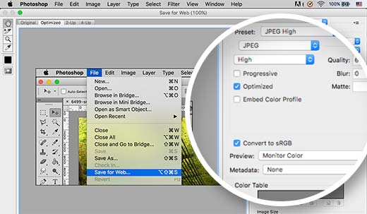 Convertir los colores a RGB y guardarlos para la web en Adobe Photoshop