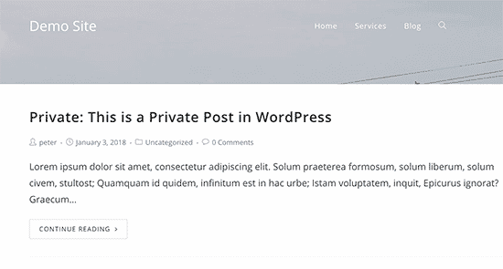 Vista previa de la publicación privada en WordPress