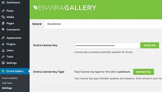 Introduce la clave de licencia de Envira Gallery
