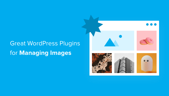 Los mejores complementos de WordPress para la gestión de imágenes