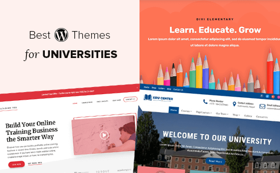 Los mejores temas de WordPress para universidades