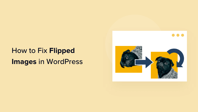 Cómo arreglar las imágenes invertidas o volteadas en WordPress