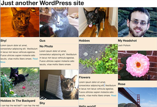 Captura de pantalla del diseño de rejilla de mampostería en WordPress