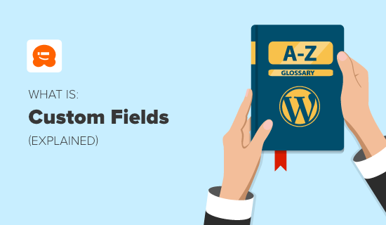 ¿Qué son los campos personalizados en WordPress?