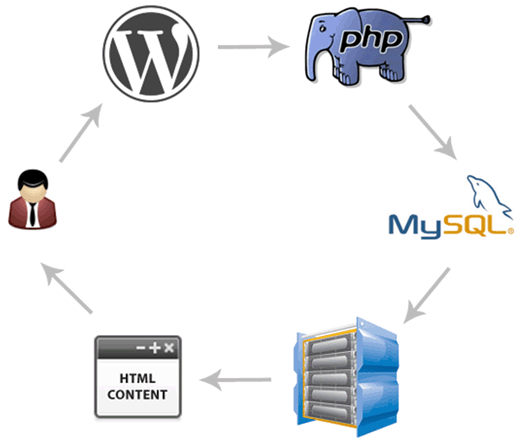 Cómo genera WordPress dinámicamente el HTML consultando la base de datos MySQL mediante PHP en función de la petición del usuario