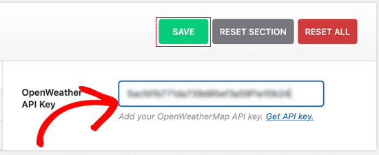Pega la clave de la API de OpenWeather