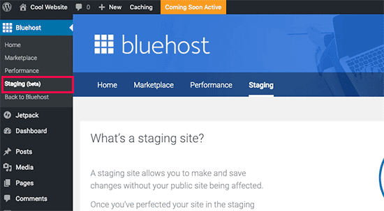 Crear un sitio de ensayo en Bluehost