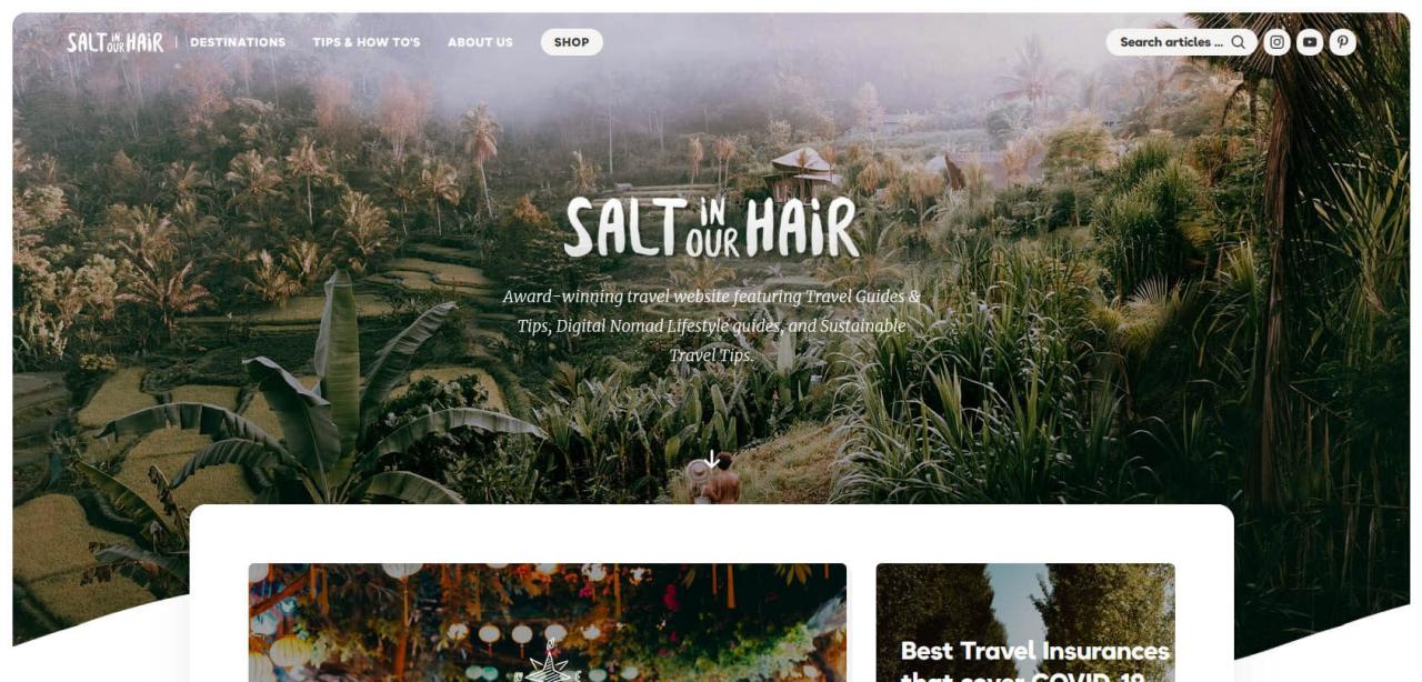Página web de La sal en el pelo