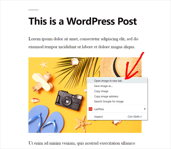 Abrir la imagen de WordPress en una nueva pestaña