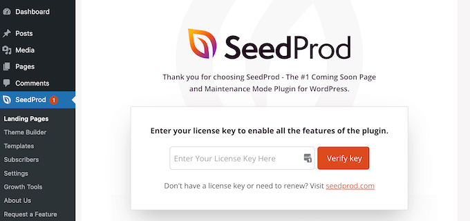 Clave de licencia de SeedProd