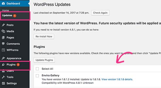 Actualización del plugin de WordPress disponible