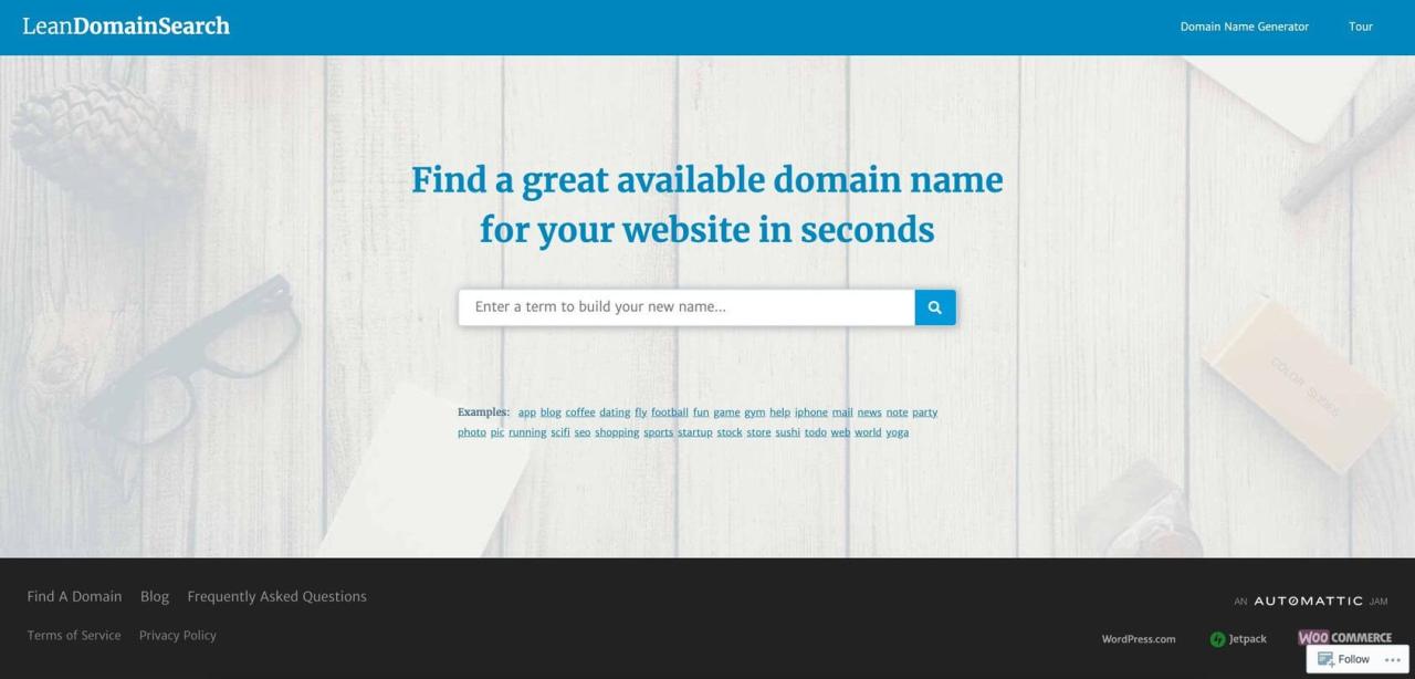 Página de inicio de Lean Domain Search