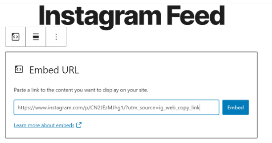 Introduce la URL de la publicación de Instagram