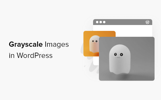 Imágenes en escala de grises en WordPress