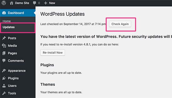 Comprueba las actualizaciones de WordPress