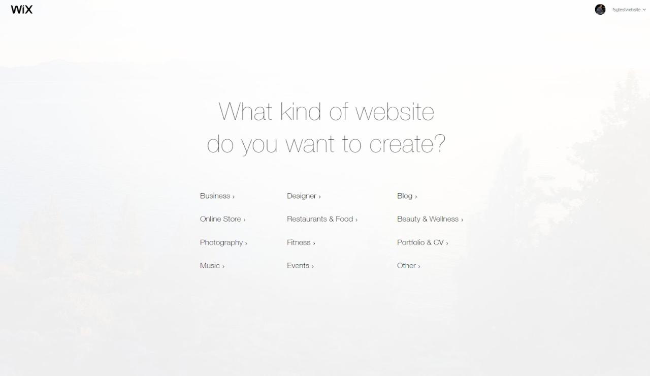 elige qué tipo de sitio web wix quieres