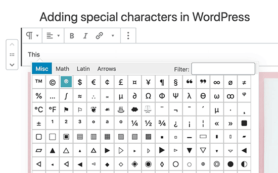 Añadir caracteres especiales en el editor de bloques de Gutenberg WordPress