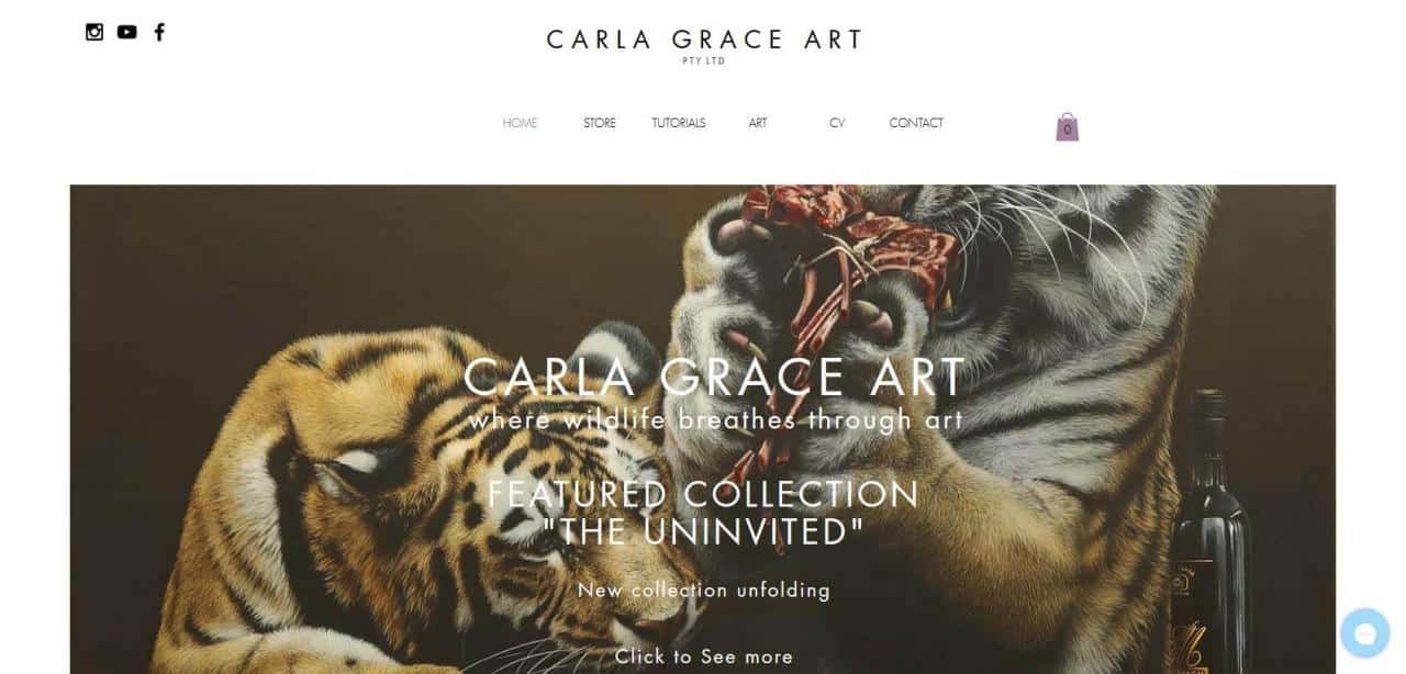 Página de Carla Grace Art