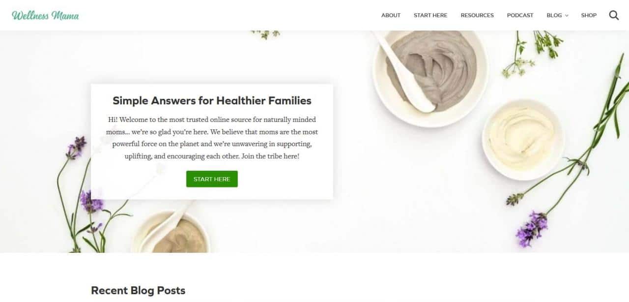 Página web de Wellness Mama